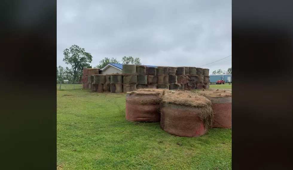 Louisiana Resident&#8217;s Hurricane Prep is Quite Ingenious [Pics]