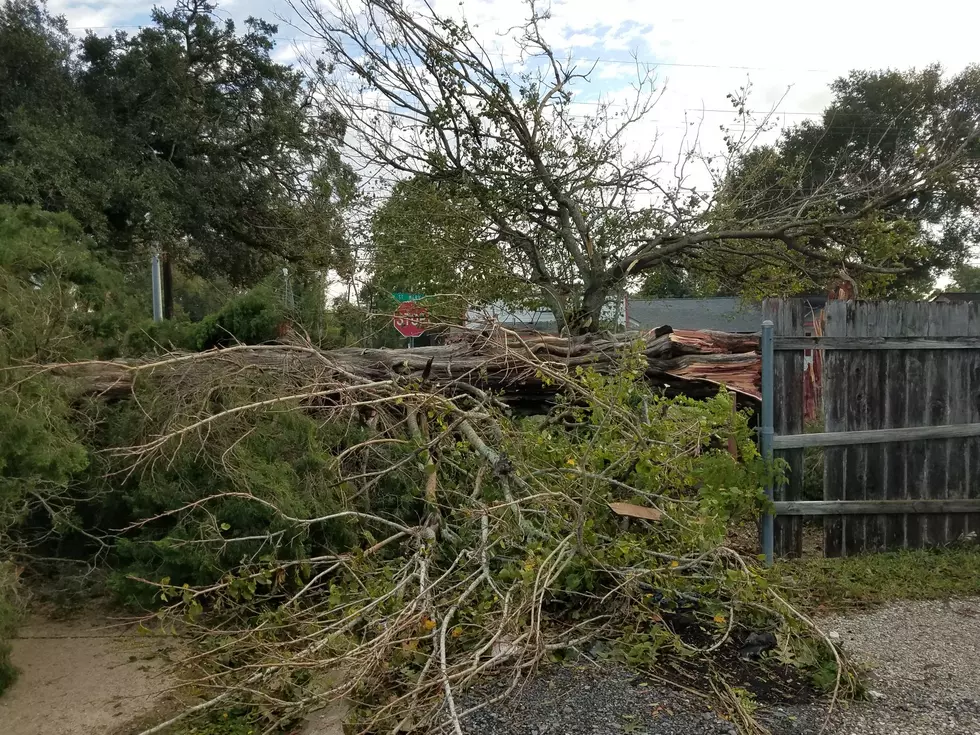 Listener-Submitted Pictures of Hurricane Delta Damage