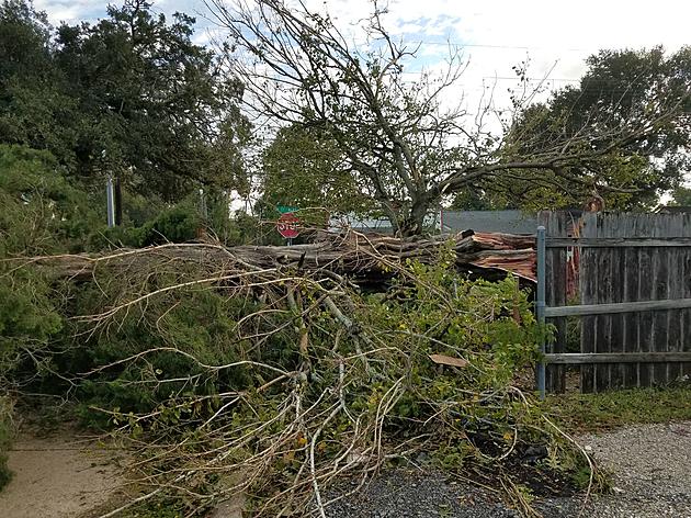 Hurricane Delta Inflicts New Damage on Hurricane-ravaged Louisiana