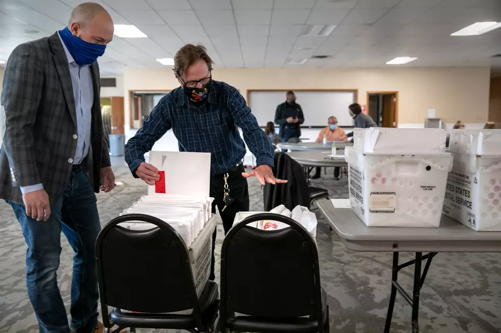 Live Web Cams of Election Ballots Being Counted [VIDEO]