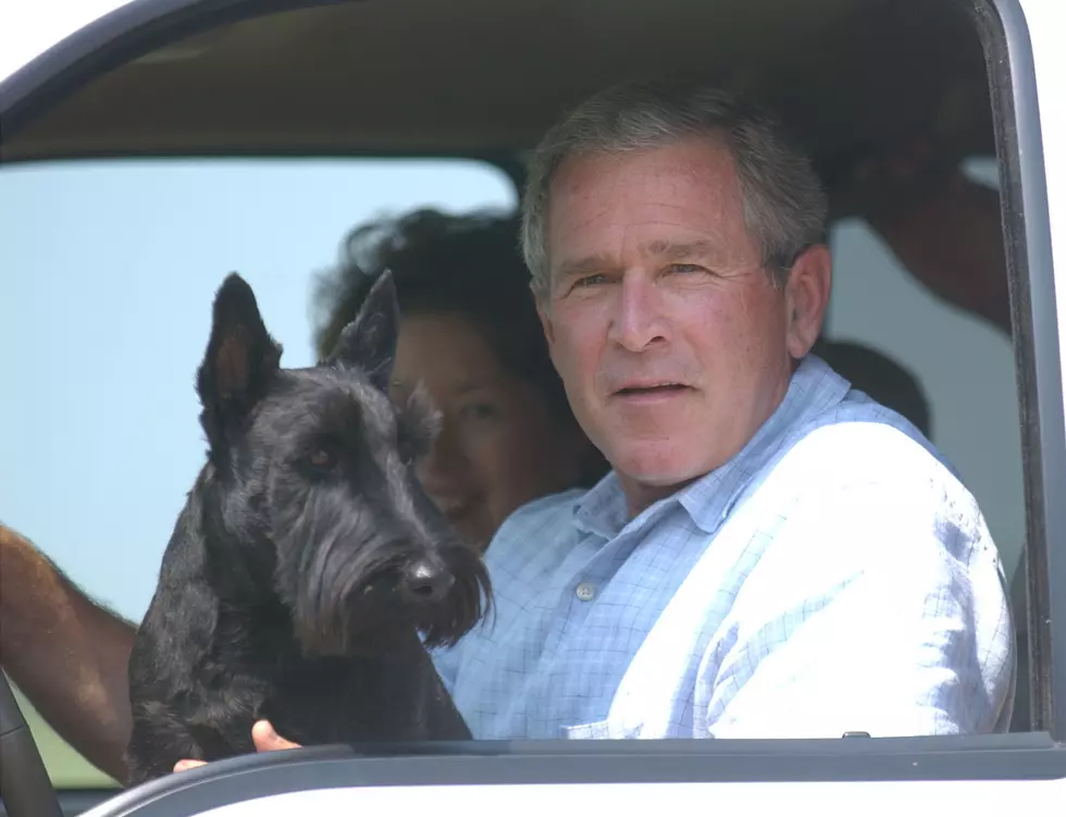 Famous Presidential Pets