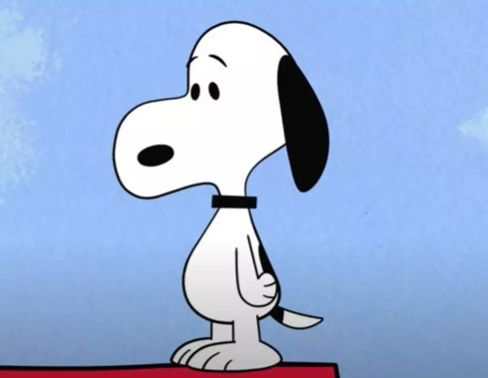 Today I Learned – 11 Facts About 11 Iconic Cartoon Dogs