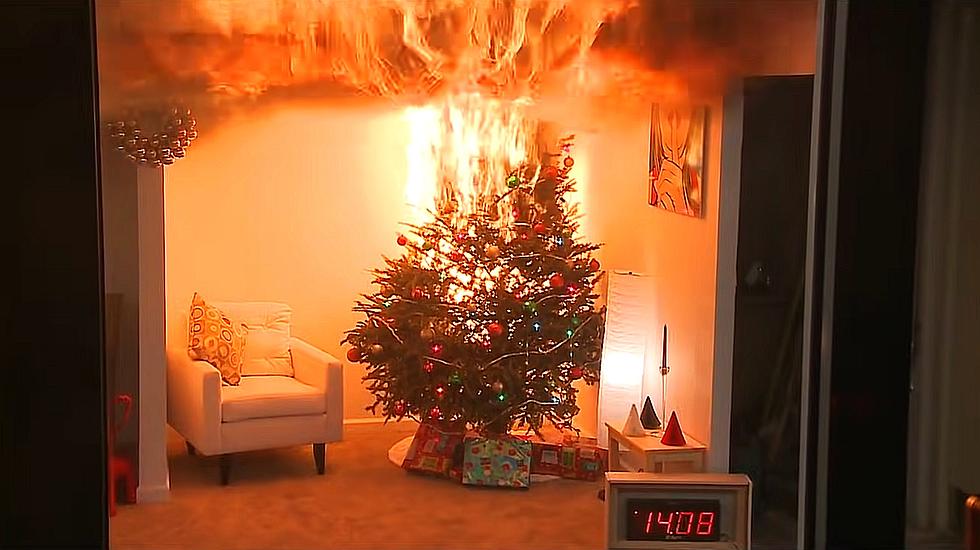 This is How Fast Your Christmas Tree Can Go Up in Flames [Video]