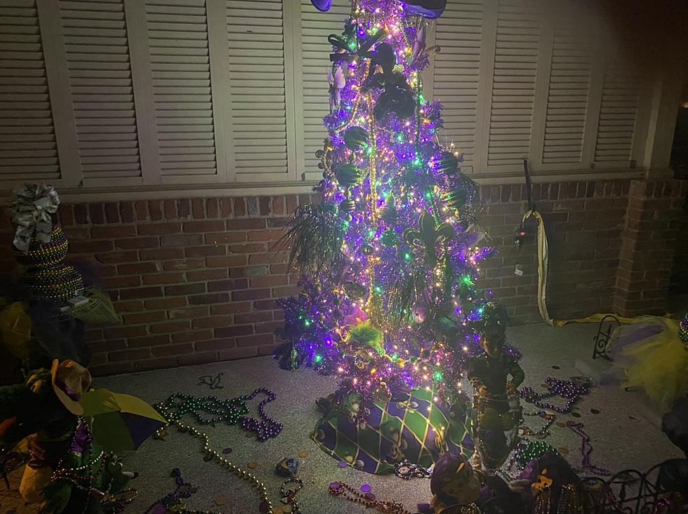 Mardi Gras Christmas tree decorated with purple (justice), green (faith),  gold (power) ornaments in the Mobile, Alabama Regional Airport Stock Photo  - Alamy