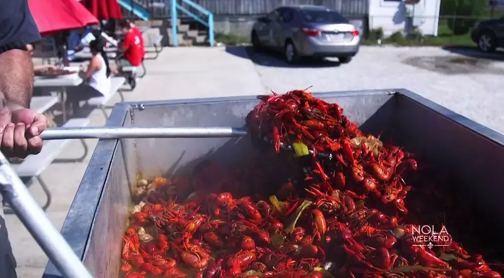 New Orleans &#8216;Crawfish Expert&#8217; Shares His Secret to a Great Boil With You [Video]