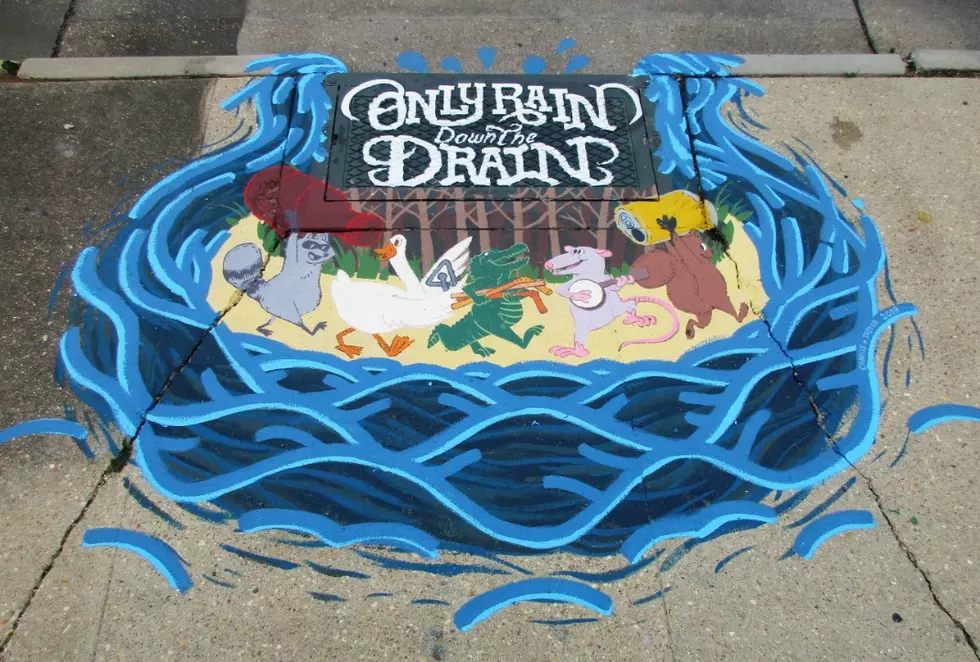 LGC is Calling on Artists for the Annual Storm Drain Art Contest
