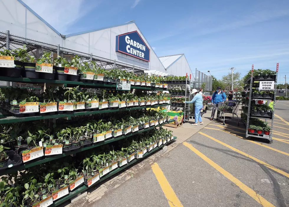 Free 'Garden to Go' SpringFest Projects at Lowe's