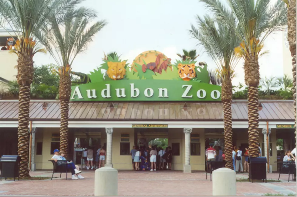 New Orleans Audubon Zoo & Aquarium Canceling Pro-Police Promotion, Says Event Could Be ‘Divisive’