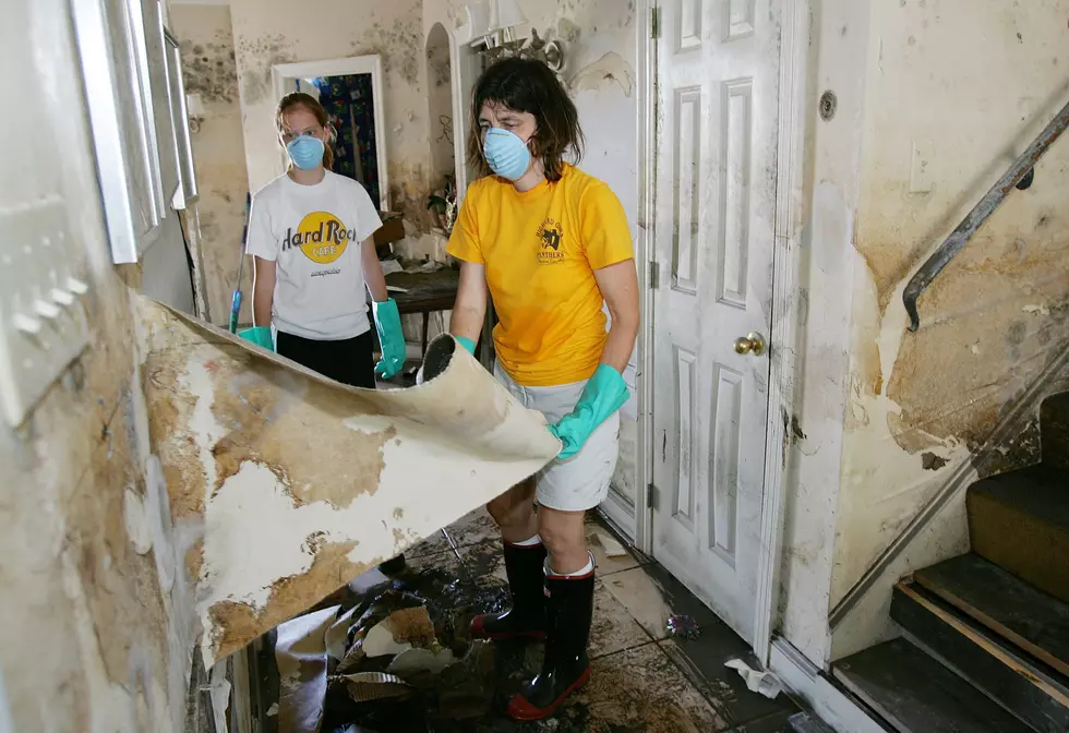 FEMA Guidelines to Get Rid of Mold and Mildew in Flooded Homes