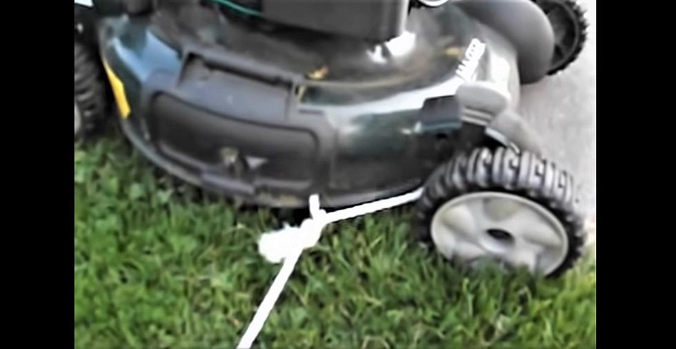 Try This Effective, Funny Lawn Care Hack if You Hate Mowing Grass [Watch]