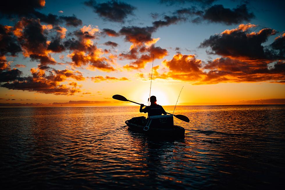 Louisiana Residents – Check Your Hunting and Fishing Licenses