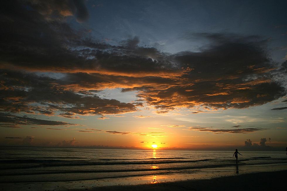 Louisiana Going to the Beach for Labor Day? Warnings are Posted