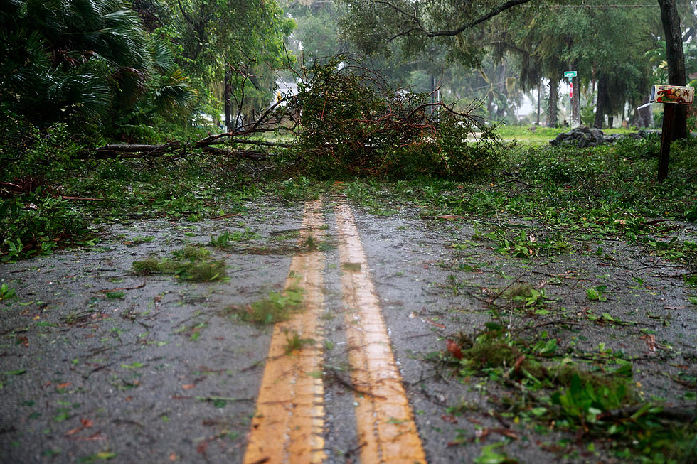 LCG Gives Tips on How to Properly Discard Storm Debris