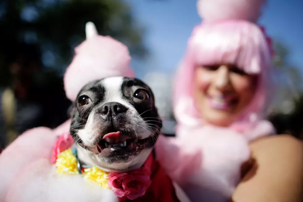Eduardo Munoz Alvarez/Getty Images