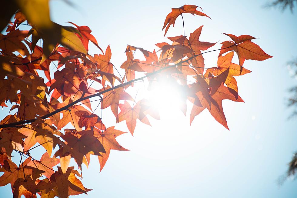 Acadiana&#8217;s Cold Front &#8211; When Will It Arrive? How Cold Will It Be?