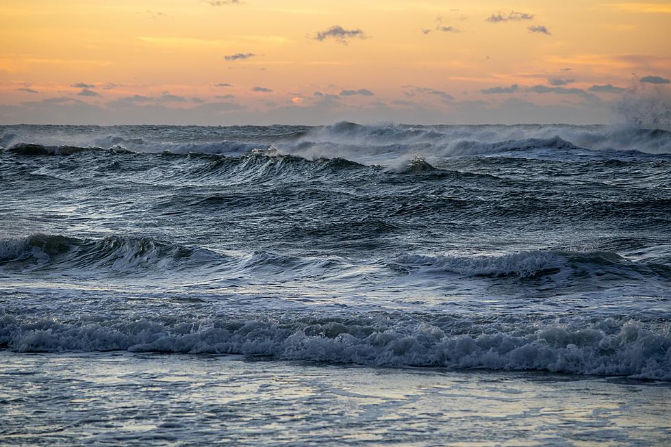 Rip Currents and Sharks Await Louisiana Beach Goers This Weekend