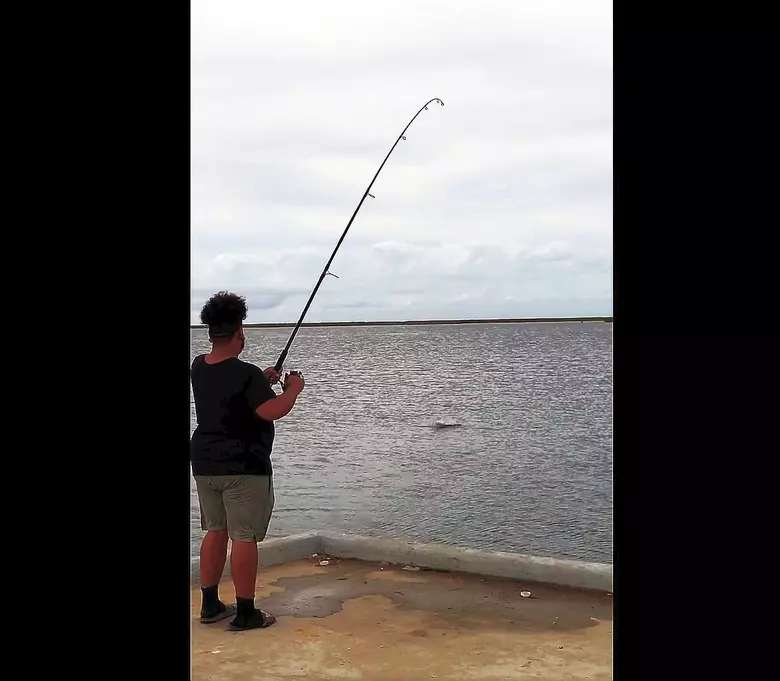 MY FIRST VIDEO! Surf fishing at Hunting Island State Park, South Carolina.  