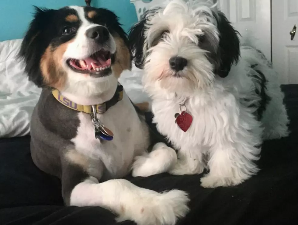 Staff Photo