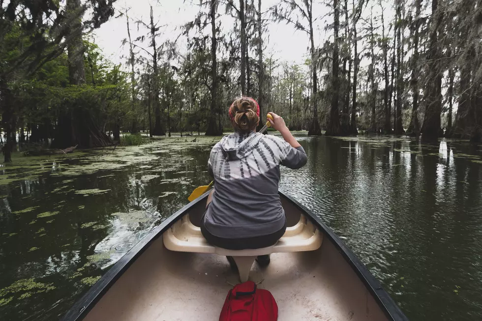 bob-orchard via unsplash