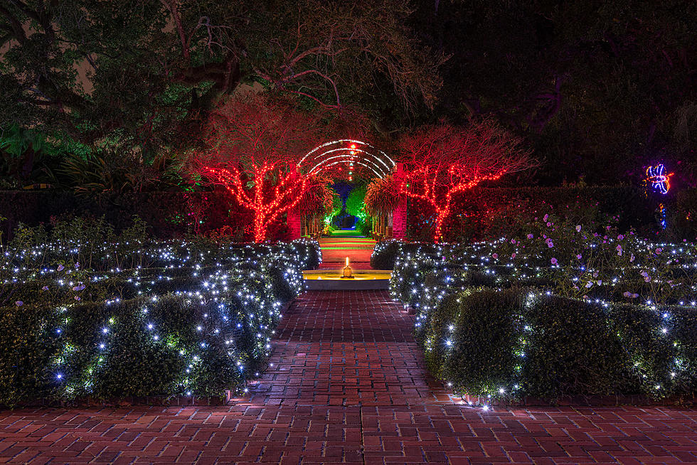 Celebration in the Oaks Returning to NOLA’s City Park Thanksgiving Evening