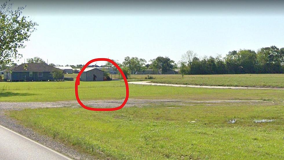 Image Caught in Maurice on Google Maps Giving People the Creeps