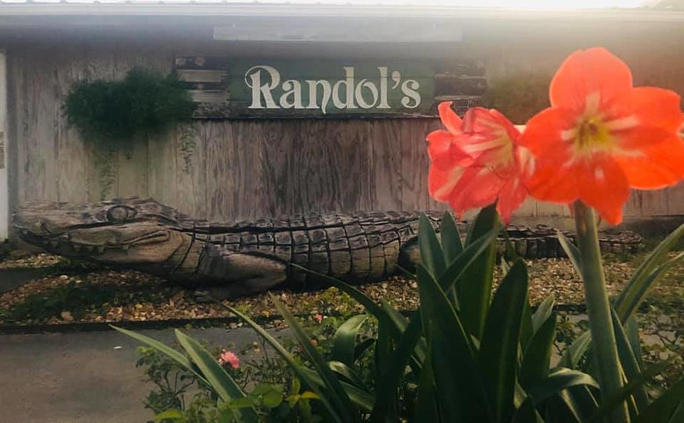 Iconic Randol’s Alligator Moved to its New Home