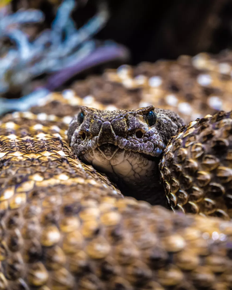 Chris Curry Via Unsplash.com