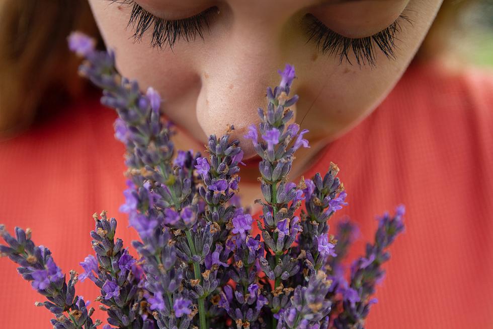 Recent Rains Won’t Bring Relief to Louisiana Allergy Sufferers