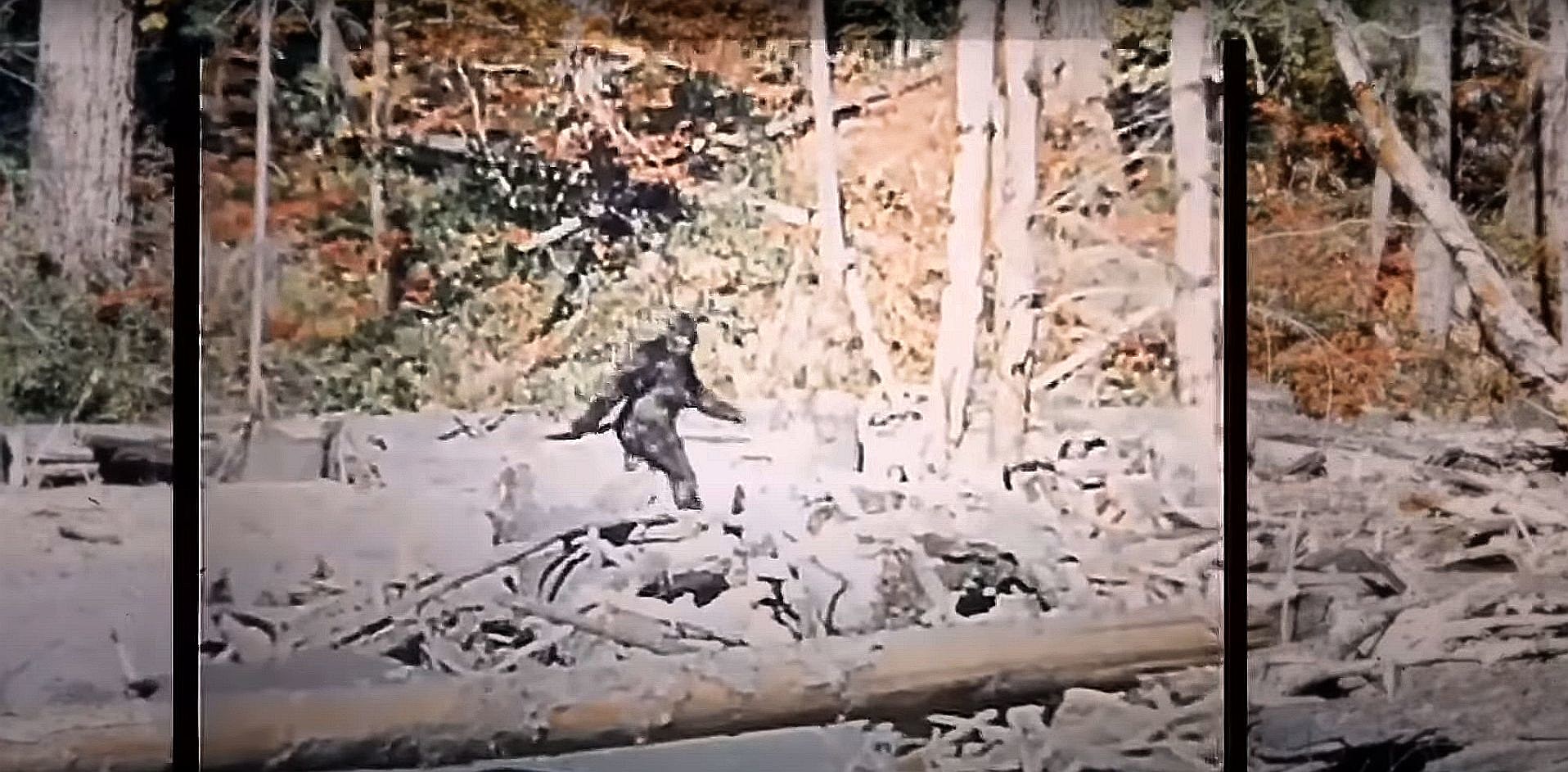 Colorado Train Riders Capture Video of Bigfoot-Like Creature