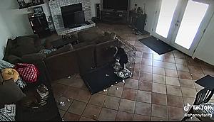 Viral Video of Alleged Ghost Attacking Family’s Dog Gets Stranger...