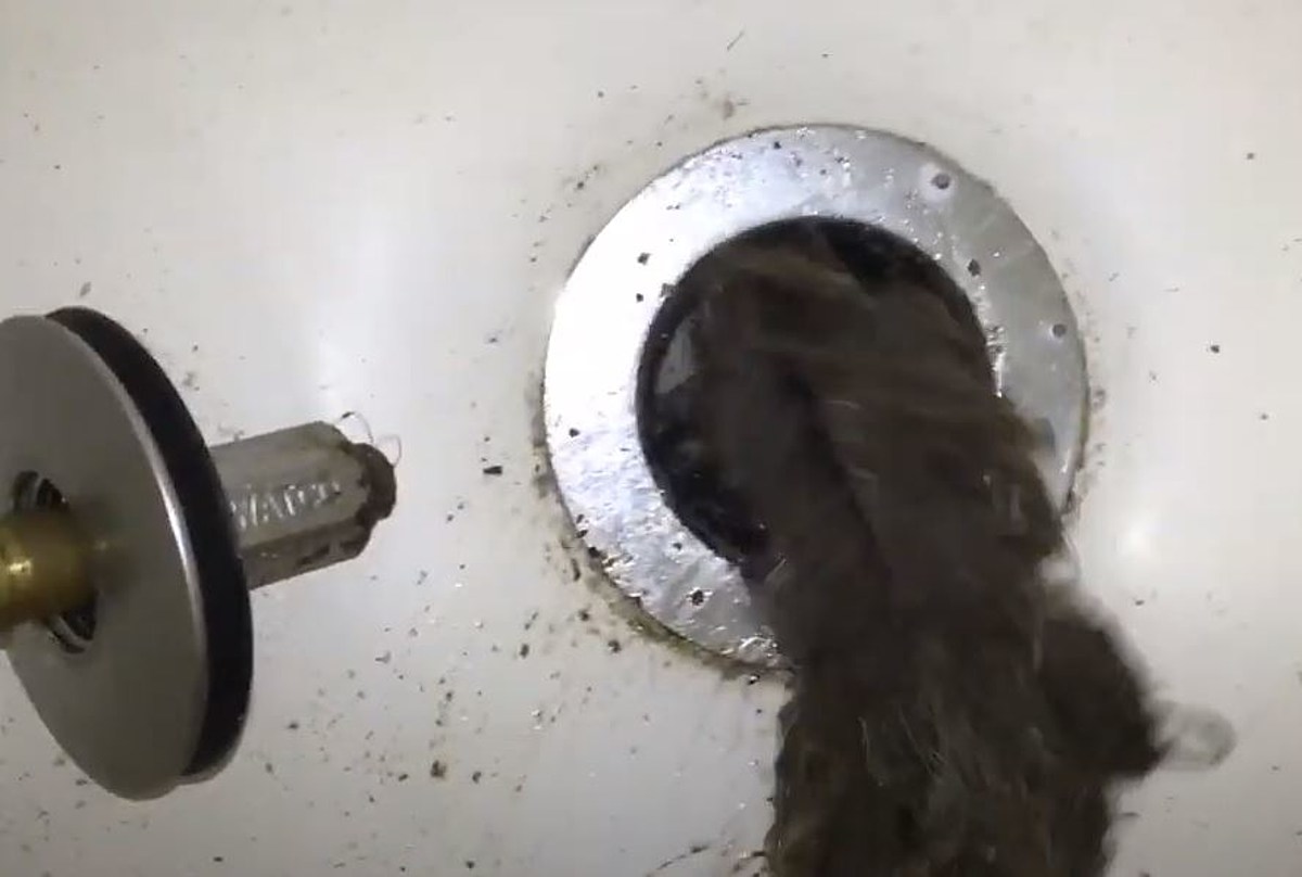 clogged shower drain