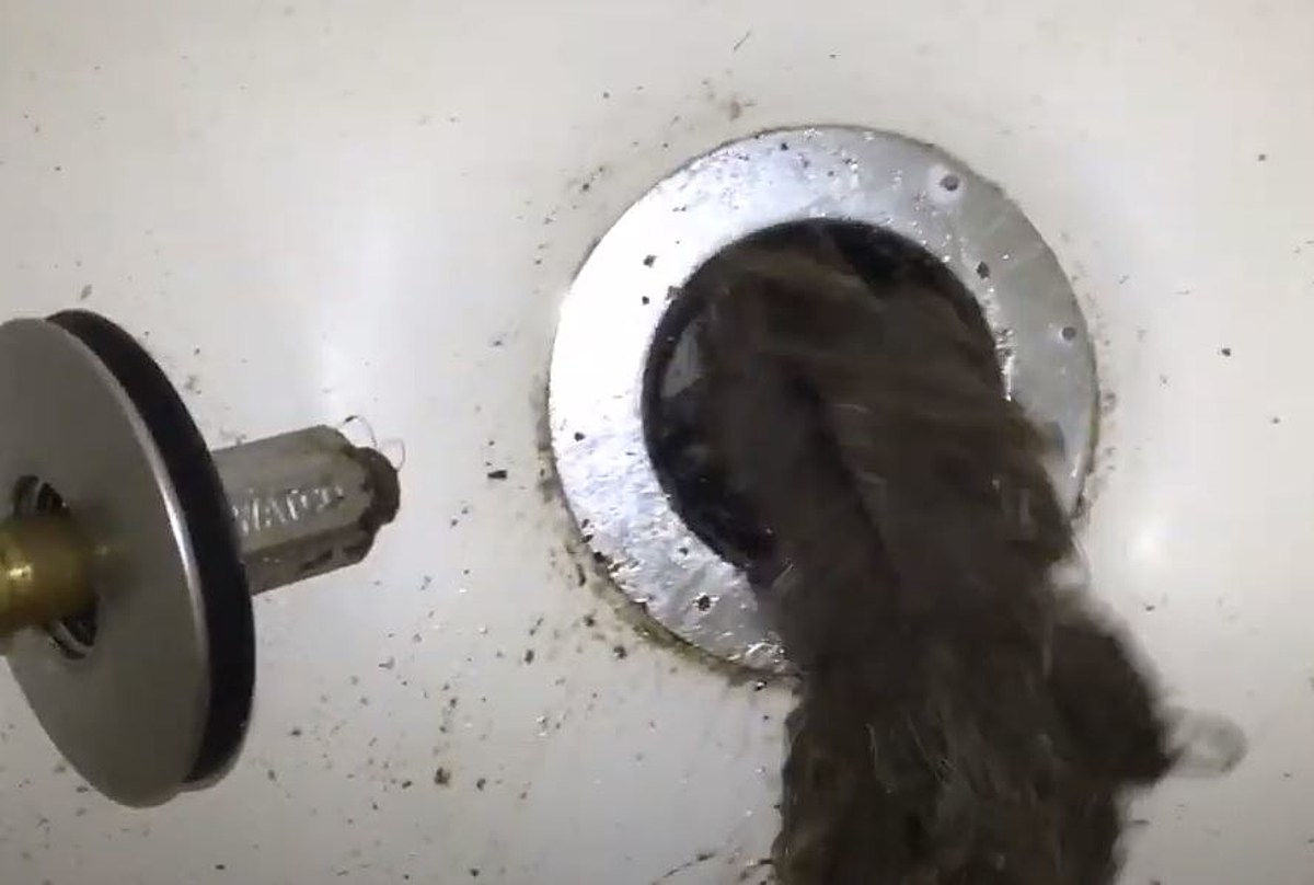 Clogged shower drain: Why this happened and how to fix it?