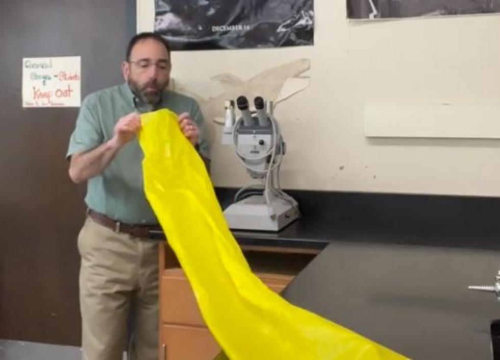 Tik Tok Science Teacher ‘Blows’ Internet Away with  Bag Trick