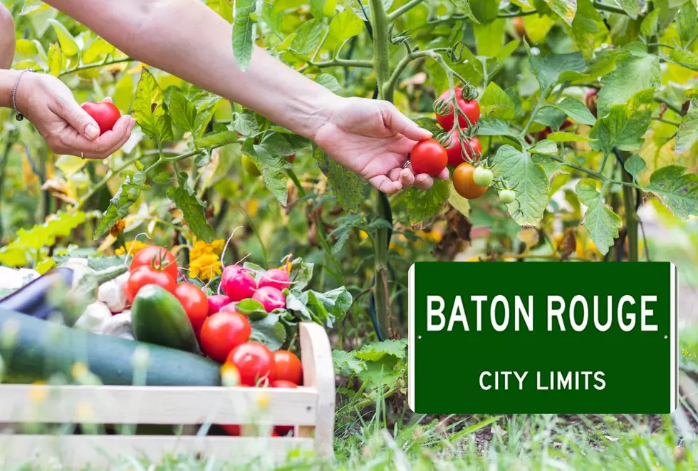 Baton Rouge Named 4th-Best City in America for Naked Gardening