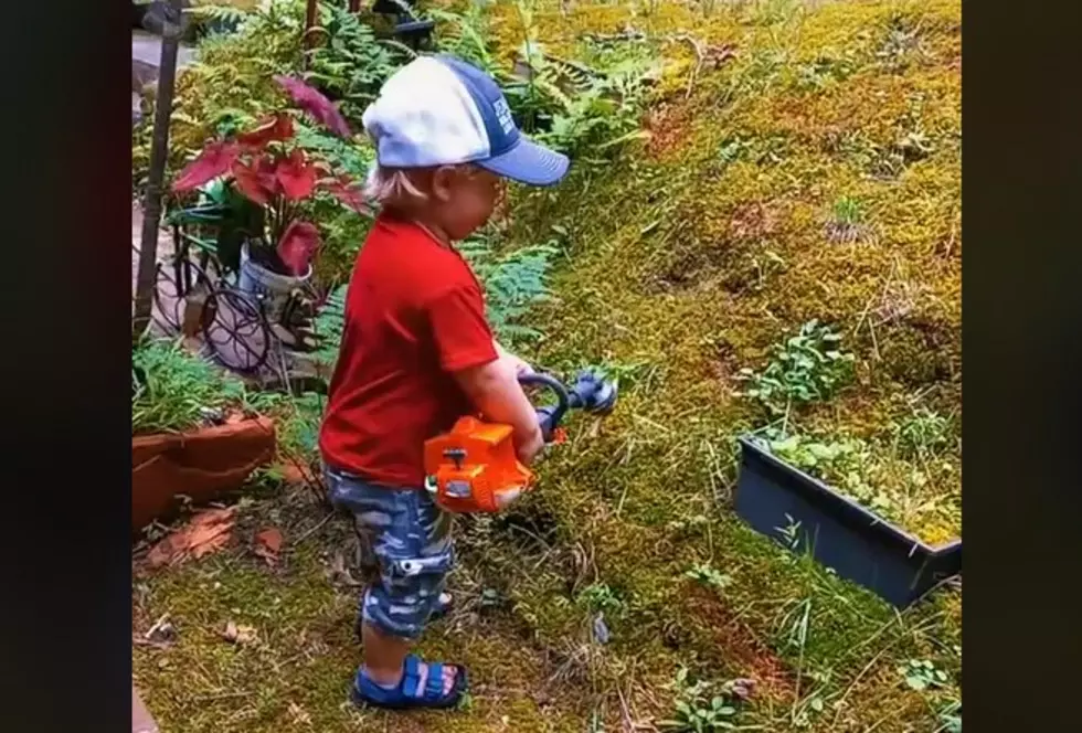 2-Year-Old Goes Viral With His Realistic Weed-Eater Sound Effects
