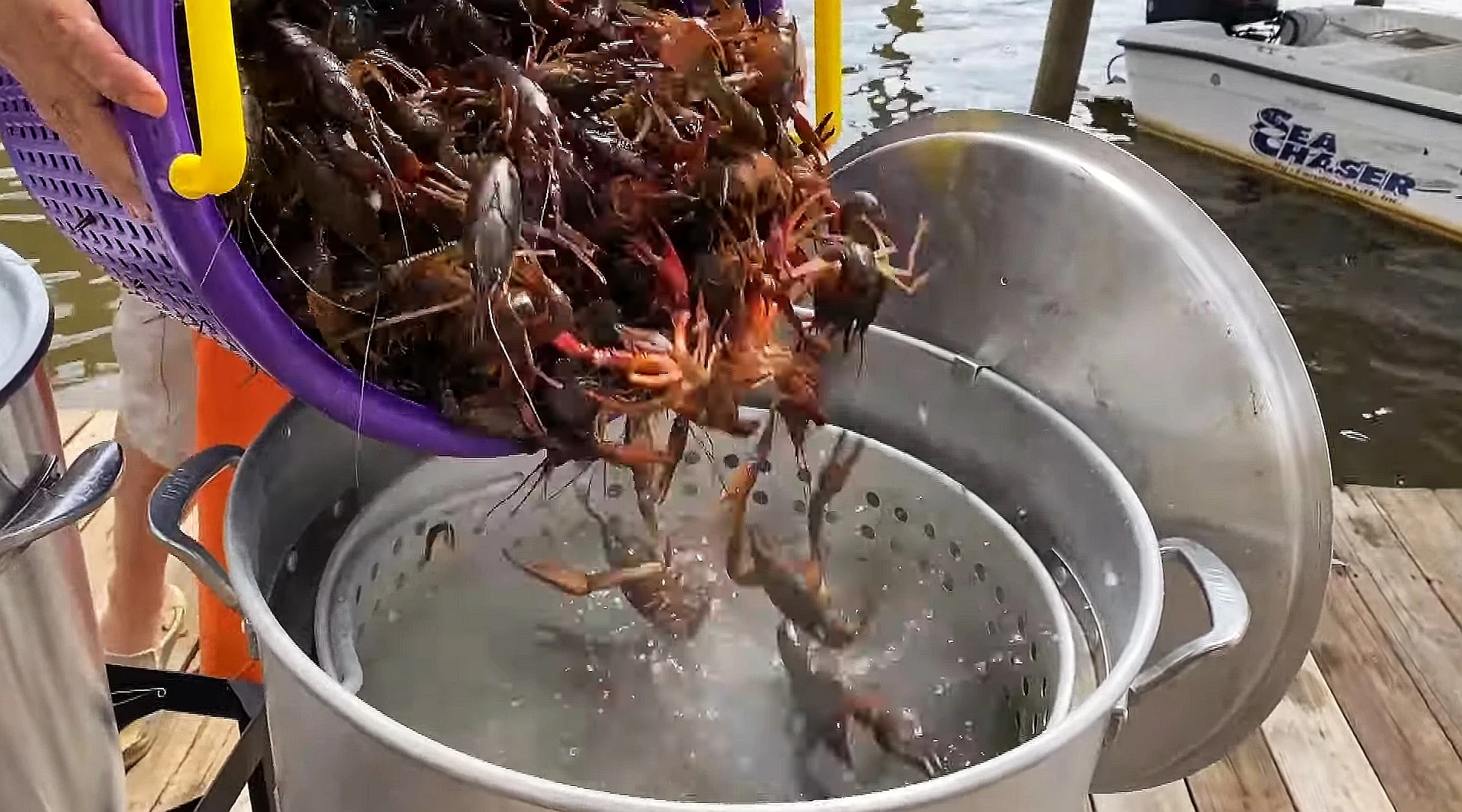 Louisiana Swamp Buckets Let You Boil Seafood Anywhere