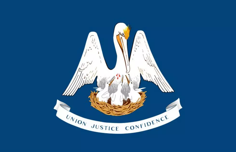 Is the Wrong Bird on the Louisiana State Flag?