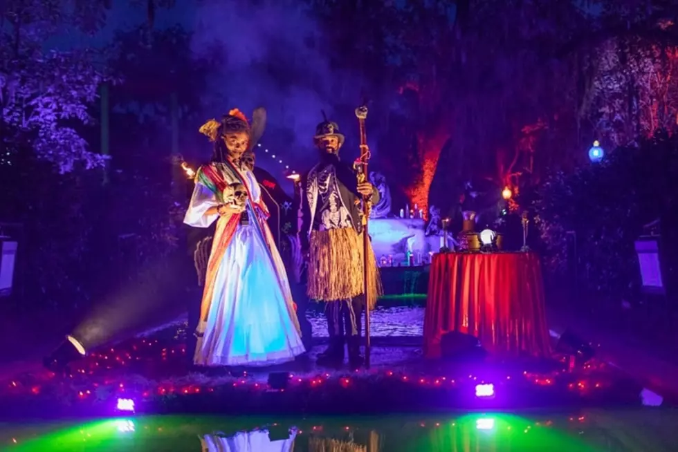 New Orleans City Park Hosting Two Spooky Events This October 