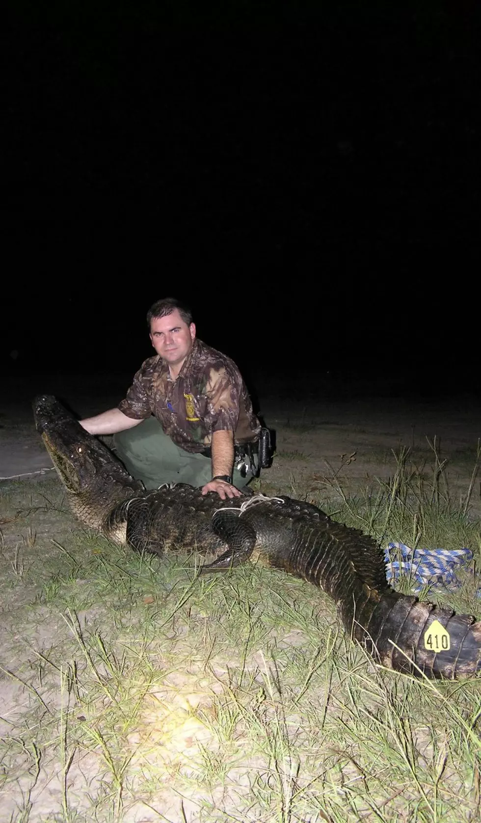 Record-Breaking Alligator Captured in Mississippi, Could Be 100 Years Old