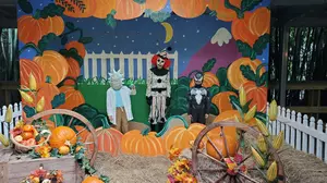 Boo at the Zoo Returns to Zoosiana All October Long