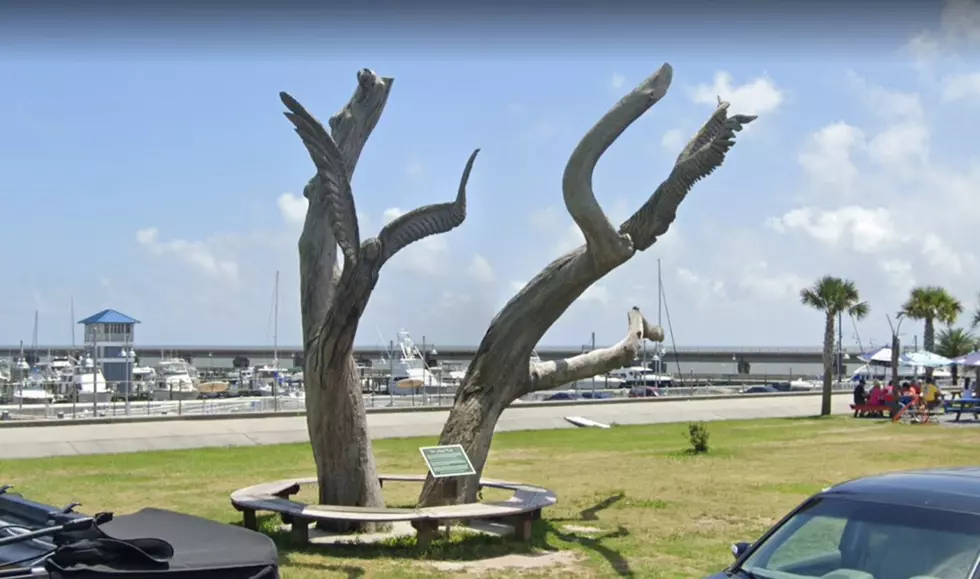 The Story Behind the Incredible Angel Trees of Bay St. Louis