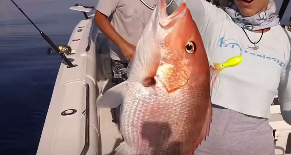 Louisiana Red Snapper Season to Open for 8 Extra Days