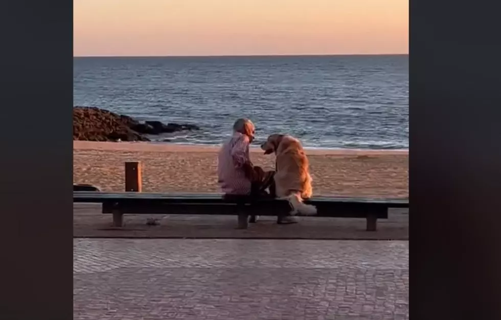 TikTok of Man Watching Sunset With His Dog Has Viewers In Their Feelings