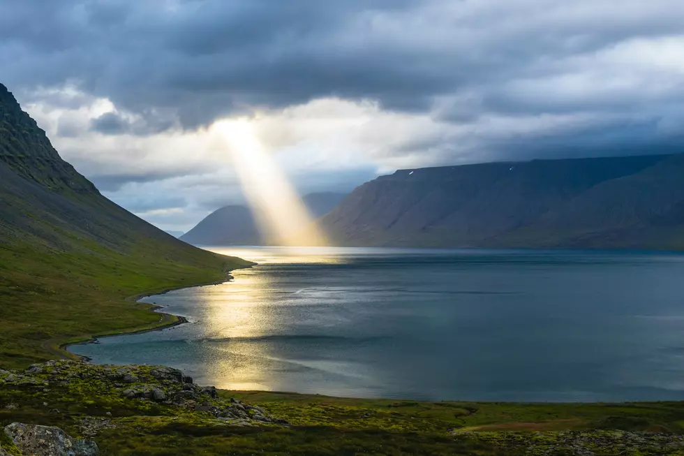 David Cantelli via Unsplash.com