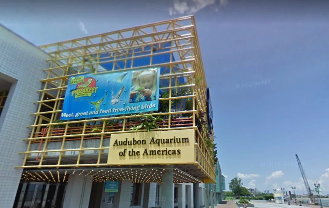 Audubon Aquarium In New Orleans Closed Here S Why   Attachment Aquarium Of The Americas Google Maps Google Streetview 