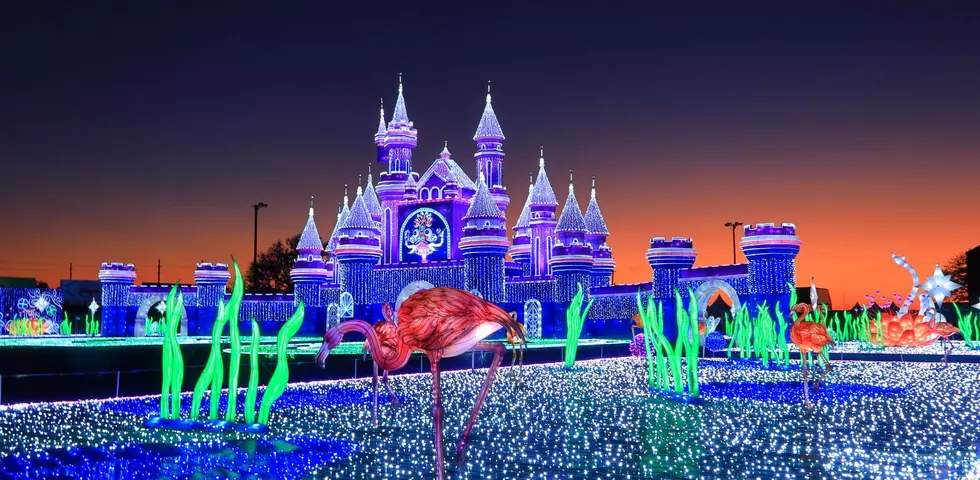 Magical Winter Lights -- The Largest Holiday Lighting Attraction 