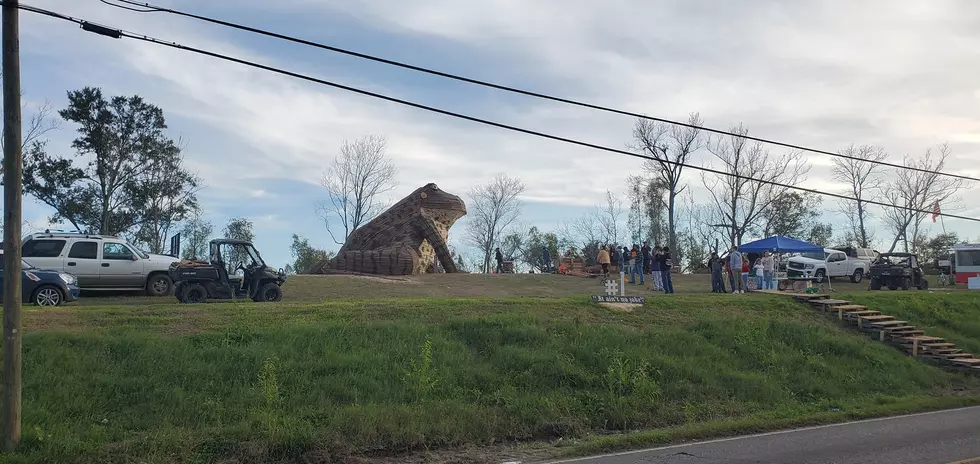 Amazing Bonfire Structure Unveiled 