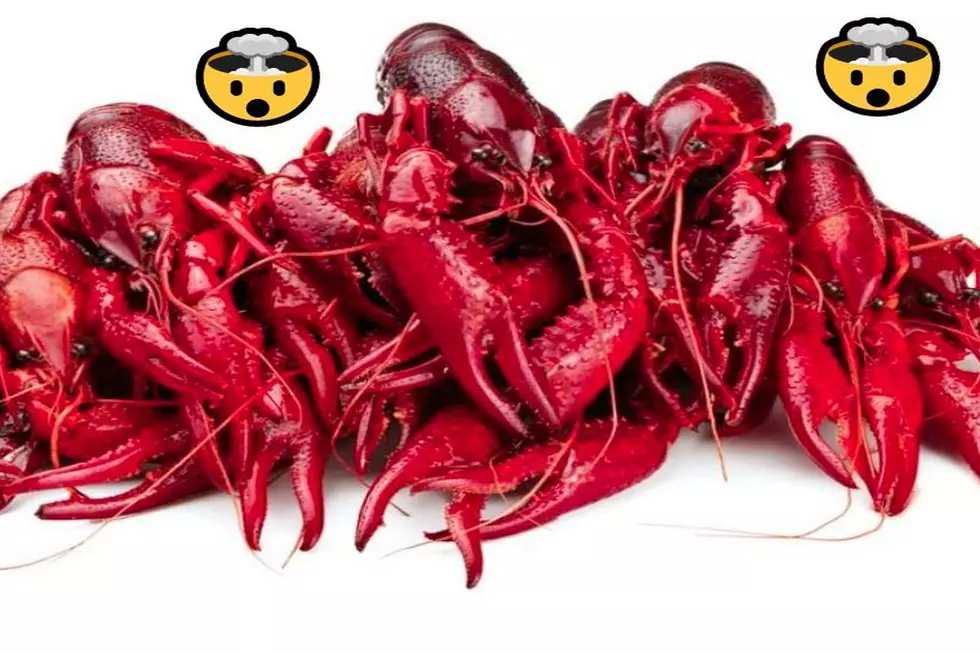 Shut the Front Door — You Can Buy ‘Boiled Crawfish’ on Amazon