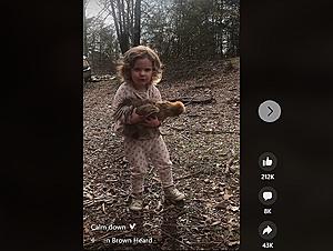 Little Girl Telling Chicken to Calm Down is What You Need to...