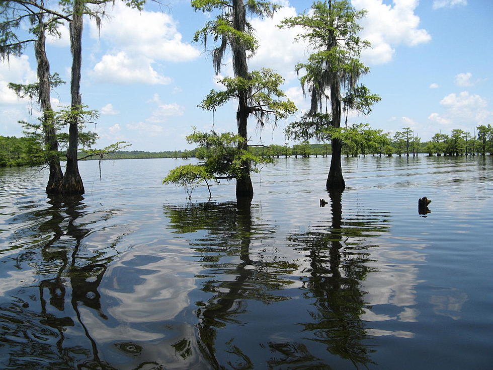 5 Louisiana Lakes Make Bassmaster Magazine’s ‘Top 100 Lakes’ for 2023